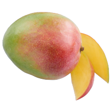 Mango XXL